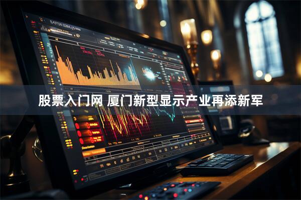 股票入门网 厦门新型显示产业再添新军