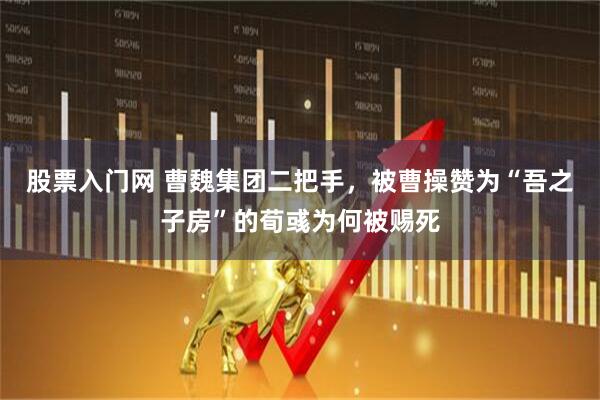 股票入门网 曹魏集团二把手，被曹操赞为“吾之子房”的荀彧为何被赐死