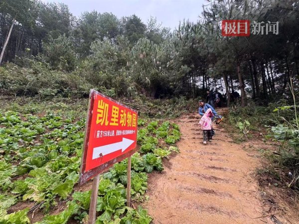 股票入门网 “史上最寒酸”的凯里动物园收到大量捐款，70岁园长喊话爱心网友：别捐了，我们现在有能力把动物养好