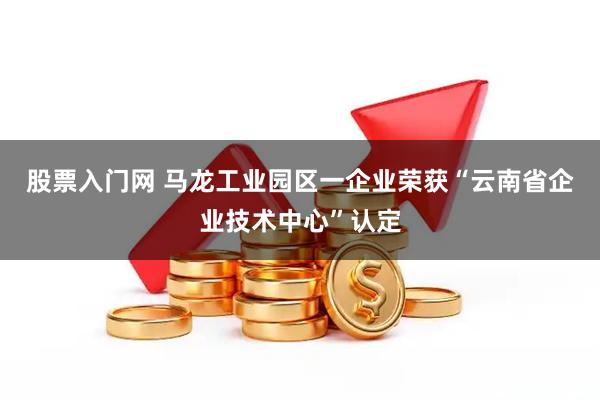 股票入门网 马龙工业园区一企业荣获“云南省企业技术中心”认定